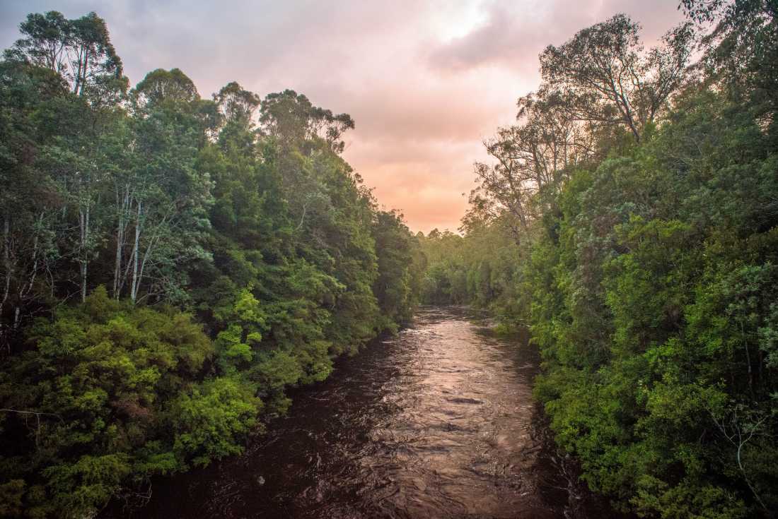 The Pristine Tasmanian Wilderness World Heritage Area. |  Glenn Walker
